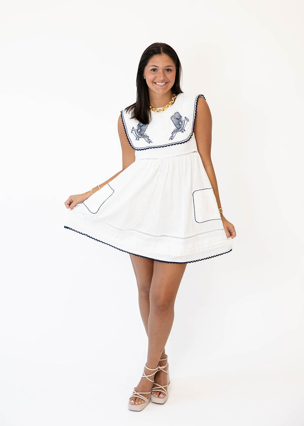 Blue Bird Mini Dress