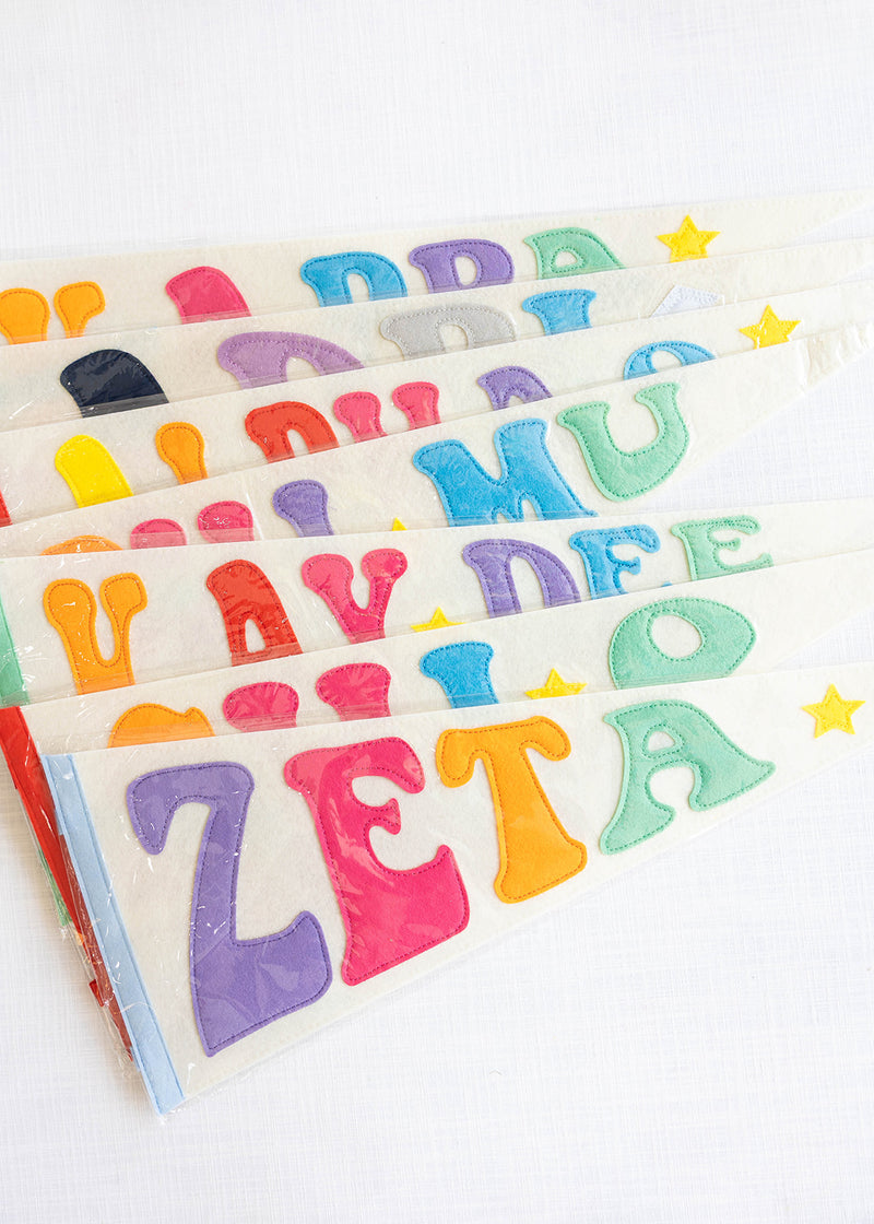 Rainbow Pennant Flag