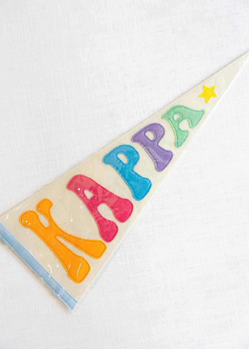 Rainbow Pennant Flag