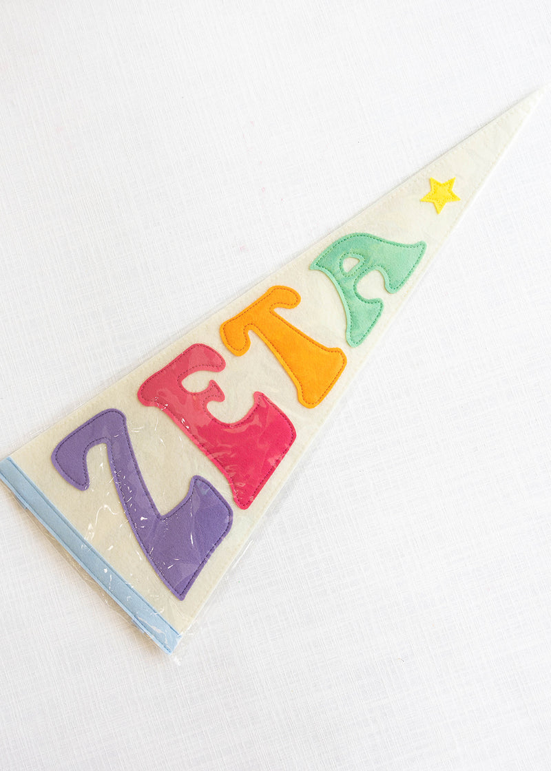 Rainbow Pennant Flag