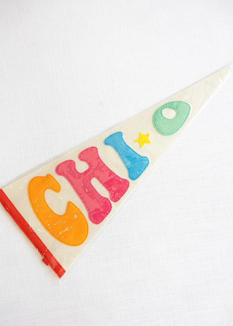 Rainbow Pennant Flag