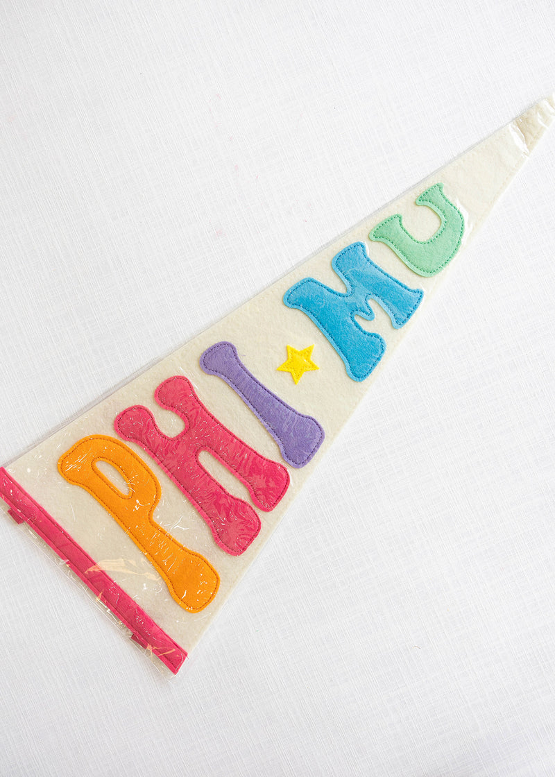 Rainbow Pennant Flag