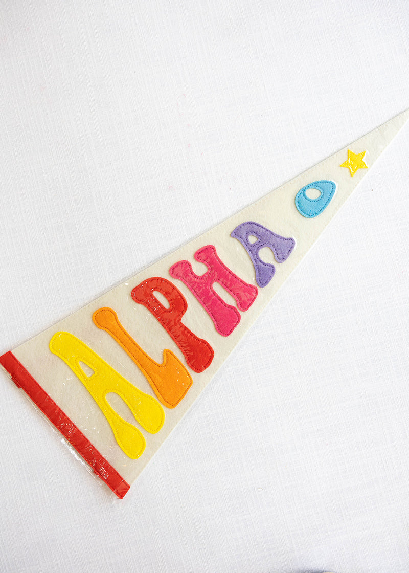 Rainbow Pennant Flag