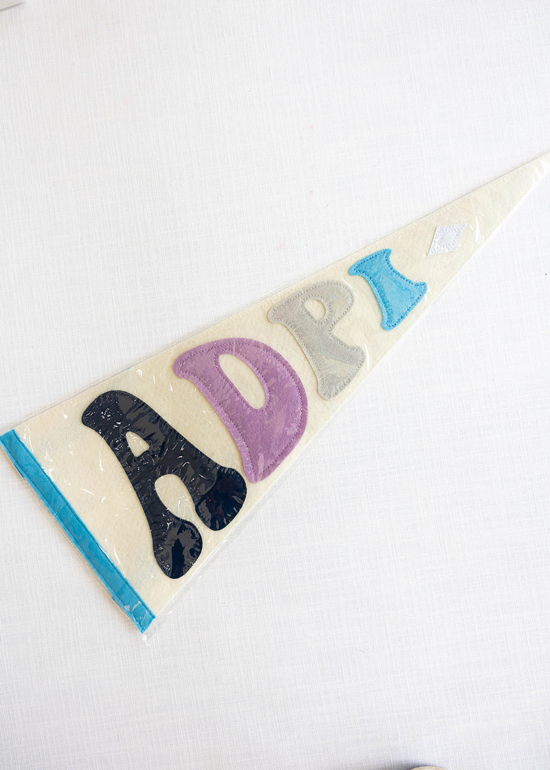 Rainbow Pennant Flag