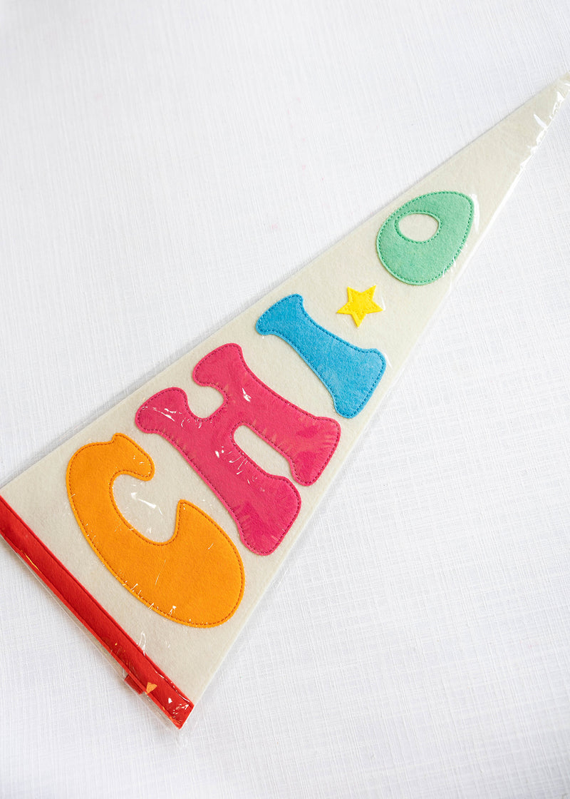 Rainbow Pennant Flag