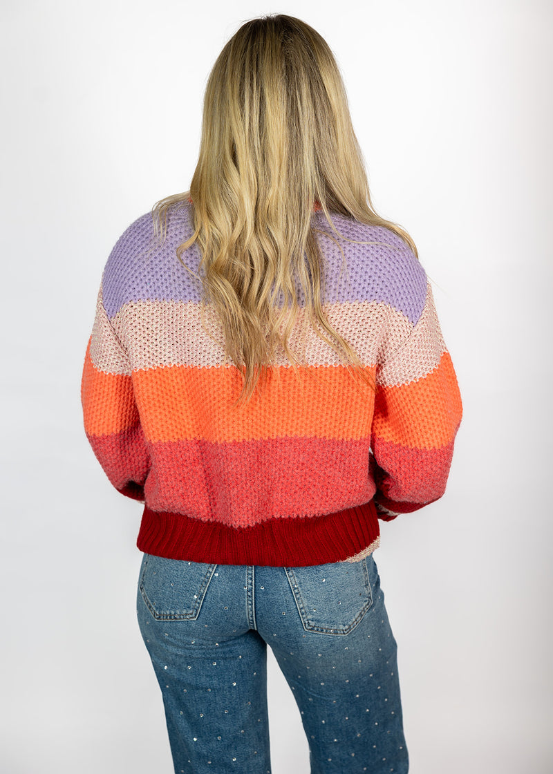 Color Craze Turtle Neck Sweater