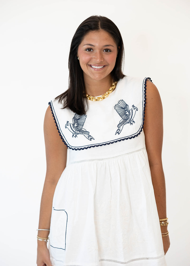Blue Bird Mini Dress: Medium