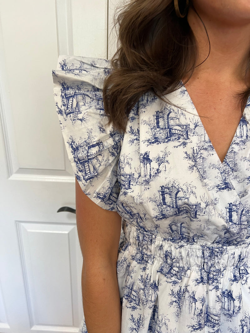 French Toile Ruffle Dress