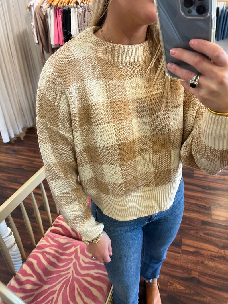 Taupe Checked Two Toned Sweater